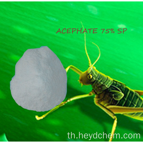 ราคาที่ดีที่สุดของ acephate 75% sp